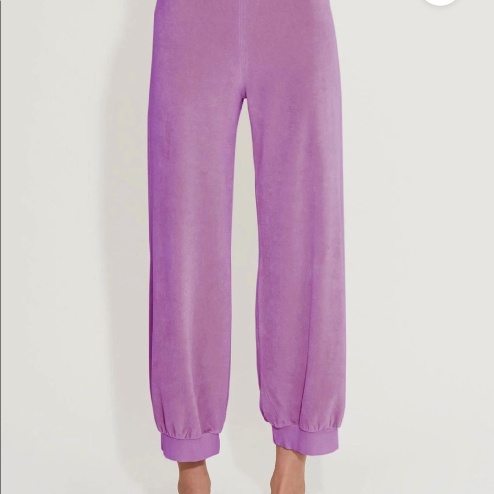 NWT Suzie Kondi Tosk High Waist Harem Pants in Velour